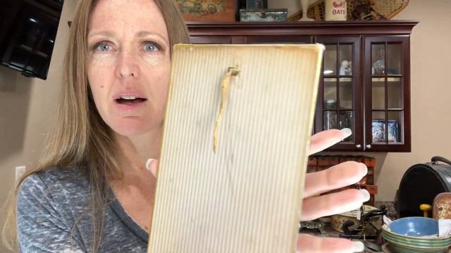 Vintage Picking | Shop with Me in Missouri | Vintage Haul смотреть онлайн