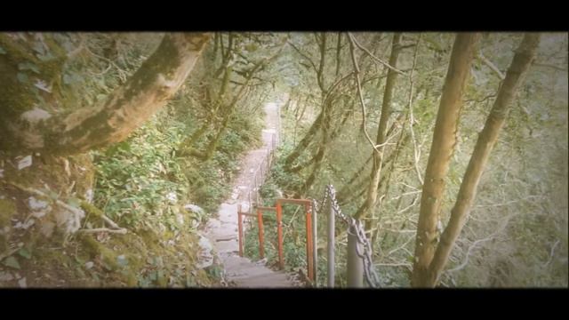 Тисо-самшитовая роща смотреть онлайн
