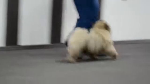 Вулкан страстей смотреть онлайн