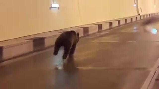 Нарушитель границы смотреть онлайн