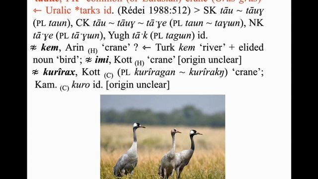Early Uralic loans In Yeniseian by Edward Vajda смотреть онлайн