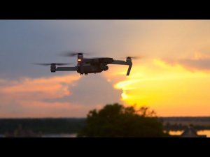 Вечерний полёт над лесом