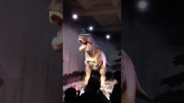 Динозавр в музее Естественной науки в Лондоне смотреть онлайн