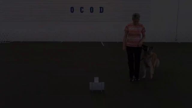 26. Call Front – 1, 2 and 3 Steps Backward - Forward смотреть онлайн