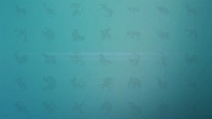 Киты для детей | Развивающие видео для детей | Карточки Домана