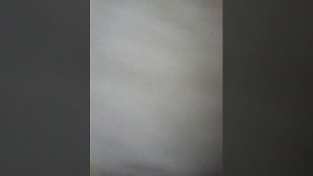 Descripción de mis primos dementes смотреть онлайн