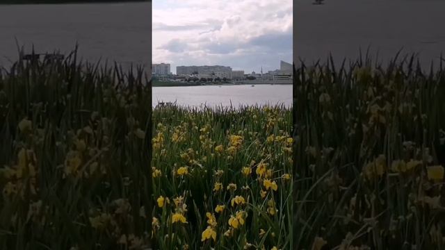 Прогулка по городу Казань. Озеро Кабан, ул. Баумана, Кремль, ул. Кремлевская. смотреть онлайн