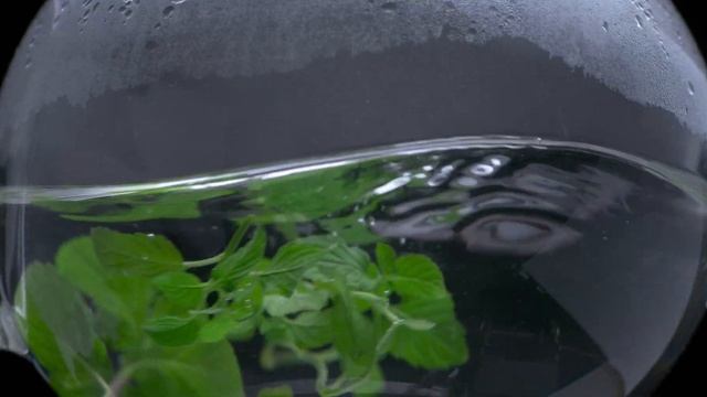 12k HDR 60FPS | DEEP COLOR | Dolby Vision смотреть онлайн