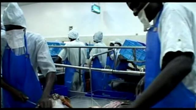 Darwin's Nightmare Trailer смотреть онлайн