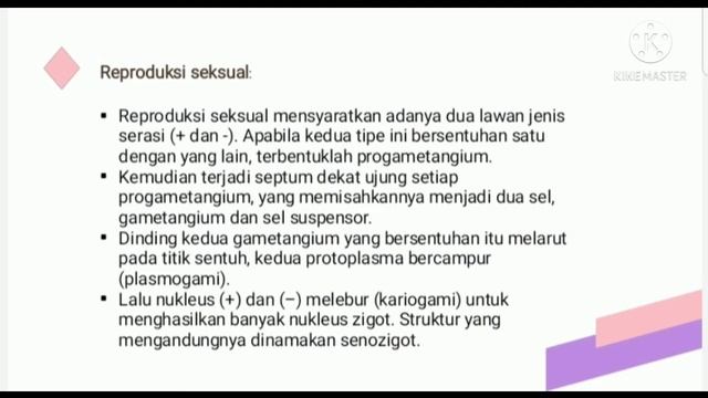 JAMUR ZYGOMYCOTA ? смотреть онлайн