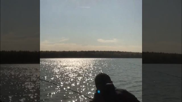 Клинский рыбхоз 01.10.2020