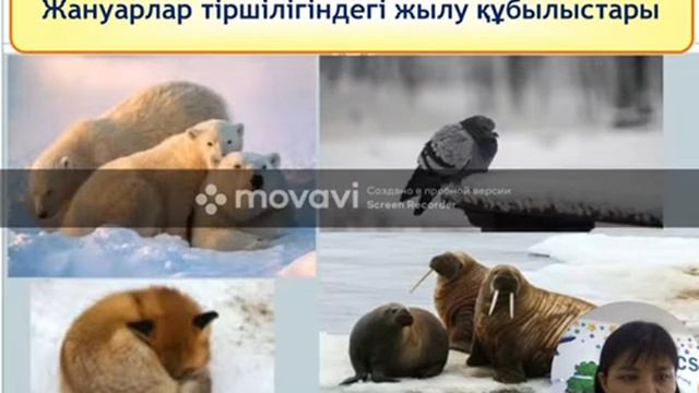 8сынып Физика. Тірі ағзалардың өмірлеріндегі жылу құбылыстардың рөлі. Жапбарова Г. П смотреть онлайн
