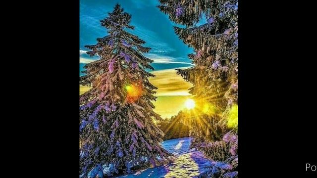 мое первое видео... первое видео называется ЗИМА #видео #зима смотреть онлайн