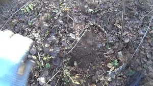 На что способен металлоискатель Quest X5 в реальном поиске?