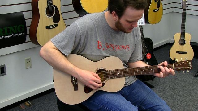 Art & Lutherie Roadhouse Parlor Guitar Demo