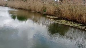 ОБЗОР Станица Полтавская Краснодарского края - крупнейший населенный пункт