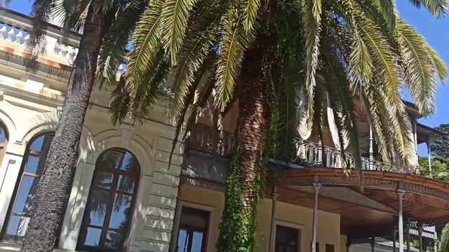 Дендрарий, 2024.