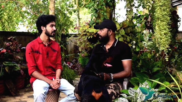 EUROPEAN DOBERMAN KERALA || Doberman Malayalam || Top Quality Doberman || Dog Farming kerala смотреть онлайн