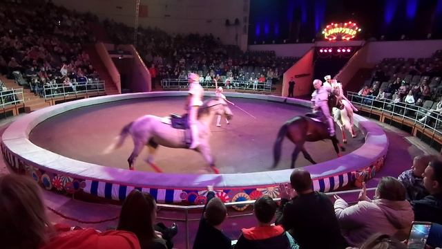 ЦИРК_АЛИВРУВЕР_ВОЛГОГРАД_2021.mp4