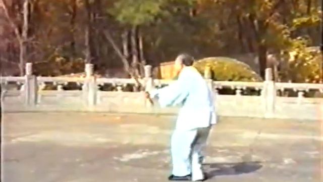 Xing Yi 5 Elements Sword and Staff смотреть онлайн