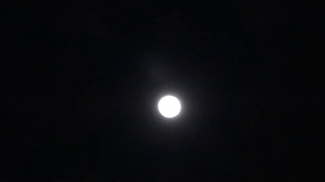 Special agent DSC HX300-MOON смотреть онлайн