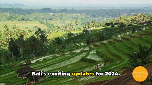 🇮🇩 Bali 2024: Exciting Updates You Need to Know! смотреть онлайн