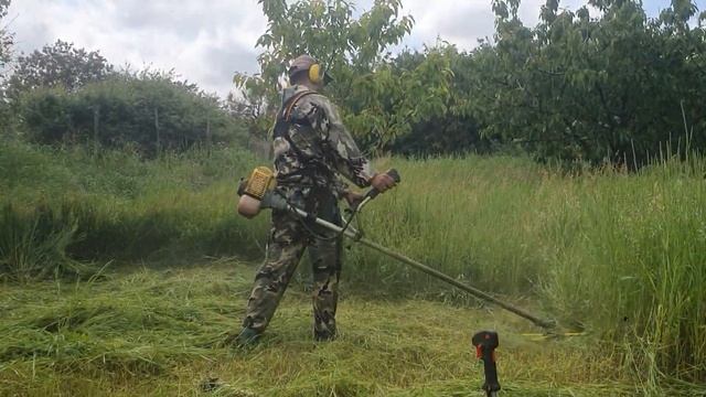 Достойная Замена Stihl и Husqvarna,коса Champion T444s-2 в работе,катушка паук на 4 прута лески 4мм