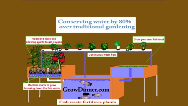 Learn Aquaponics to Grow Fish and Veggies! смотреть онлайн
