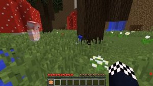 ?ПРЯТКИ НО У КАЖДОГО СВОЙ БИОМ В МАЙНКРАФТ! ШЕДИ ЛЕСКА И НУБИК ЧЕЛЛЕНДЖ MINECRAFT