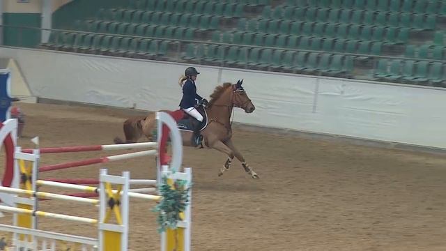 Horse Gym‘s Deja Vue (11 yo Diamant de Semilly x Carolus I) Kreuth 2019 смотреть онлайн