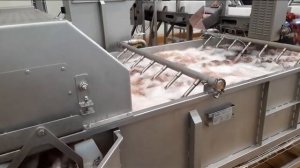 Линия подготовки клубники к шоковой заморозке с помощью туннелей IQF. Барботажная и щеточная мойки.