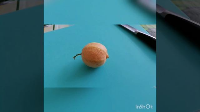 Лимон Альба вариегатный. смотреть онлайн