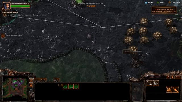 Прохождение Starcraft 2: Heart of the Swarm [11] - Суровое Испытание смотреть онлайн