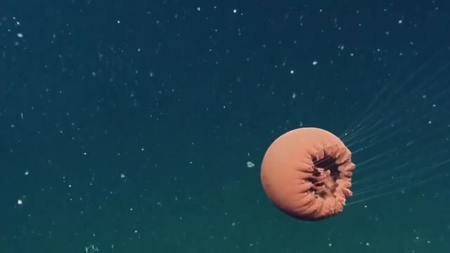 Природный калейдоскоп. Ниже уровня моря 2. смотреть онлайн