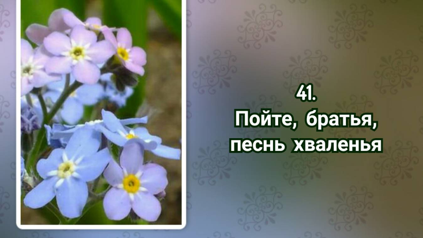 Гимны надежды 41 Пойте, братья, песнь хваленья (-) смотреть онлайн