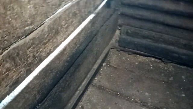 Желудочки по нашему! смотреть онлайн