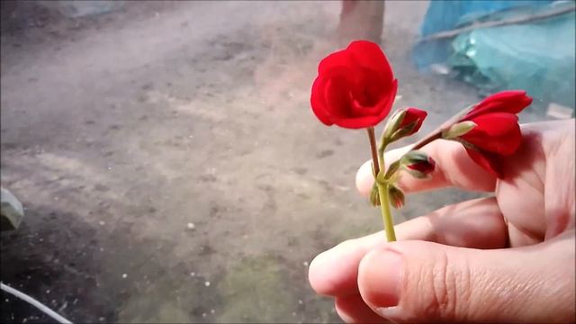 НАТВОРИЛА.// МОИ ВЯЗАЛЬНЫЕ ПРОДВИЖЕНИЯ. смотреть онлайн