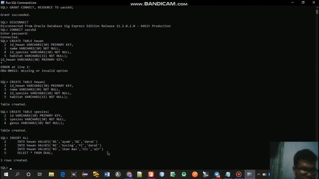 Procedure, Transaction & Exception handling pada Oracle Sql смотреть онлайн