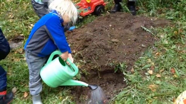 Посадили дерево смотреть онлайн