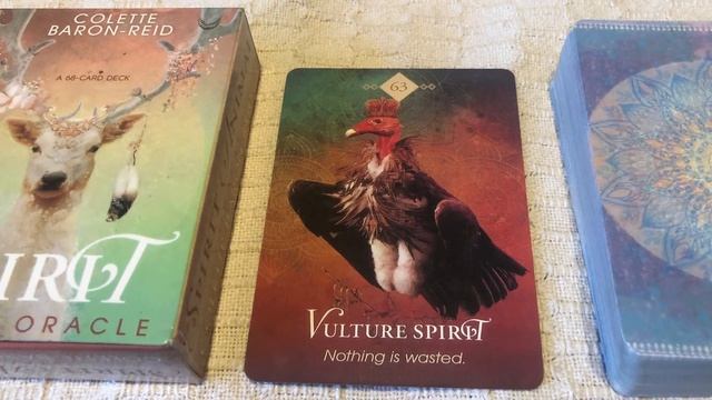The Spirit Animal Oracle 63/68 Vulture Spirit guide book audio description смотреть онлайн
