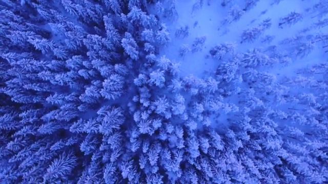 Стих: "Покажи мне путь, Бог мой" смотреть онлайн