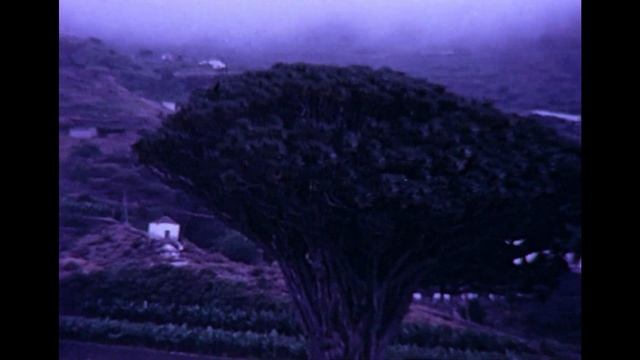 Tenerife, The canary Islands, Spain. circa 1979 смотреть онлайн