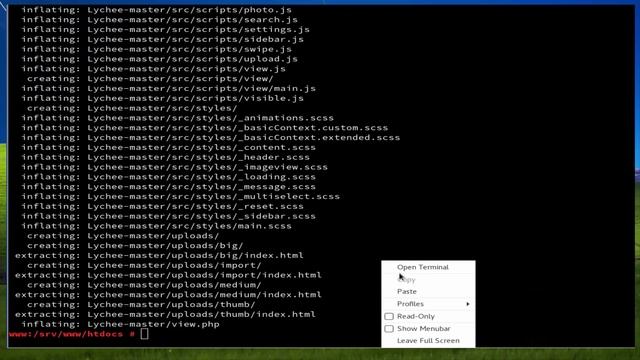 How To install Lychee on Opensuse Leap 42.3 смотреть онлайн