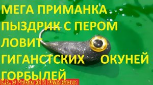 СДЕЛАЛ МЕГА ПРИМАНКУ ПЫЗДРИК С ПЕРОМ,И НА ЗИМНЕЙ РЫБАЛКЕ ЛОВЛЮ БОЛЬШИХ ОКУНЕЙ ГОРБЫЛЕЙ БЕЗ ПЕРЕРЫВА