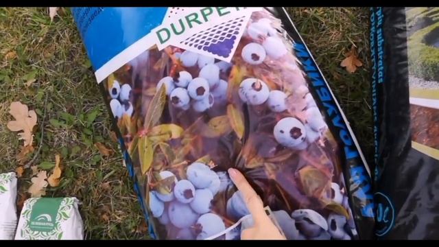 сажаем вереск и эрику смотреть онлайн