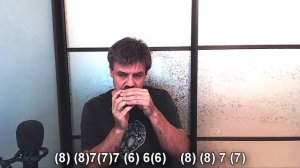 Was wollen wir trinken on the harmonica (Boots' cover)