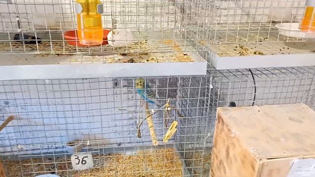 Природная Красота в Кадре