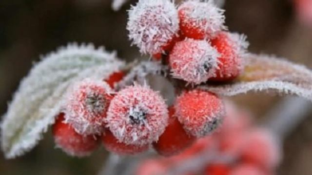 22 января Филиппов день. Народные приметы и традиции. Что делать нельзя. Приметы погоды смотреть онлайн
