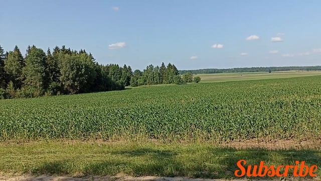 Собрал и догрузил металлолом Отвёз на приёмку смотреть онлайн