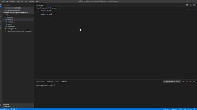 Python Documentation Standard Array Handling смотреть онлайн